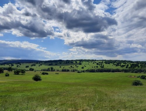 Visit to restored grasslands in the White Carpathians, the Czech Republic