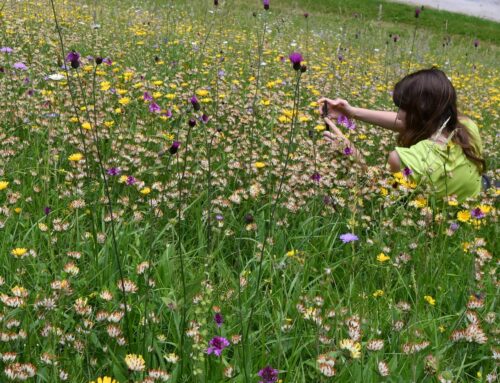 Uspešen zaključek druge nabiralniške sezone na projektu LIFE FOR SEEDS