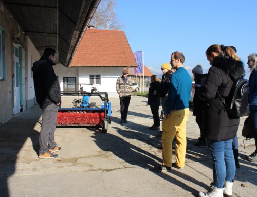 First steps towards the production of indigenous seed material in Slovenia